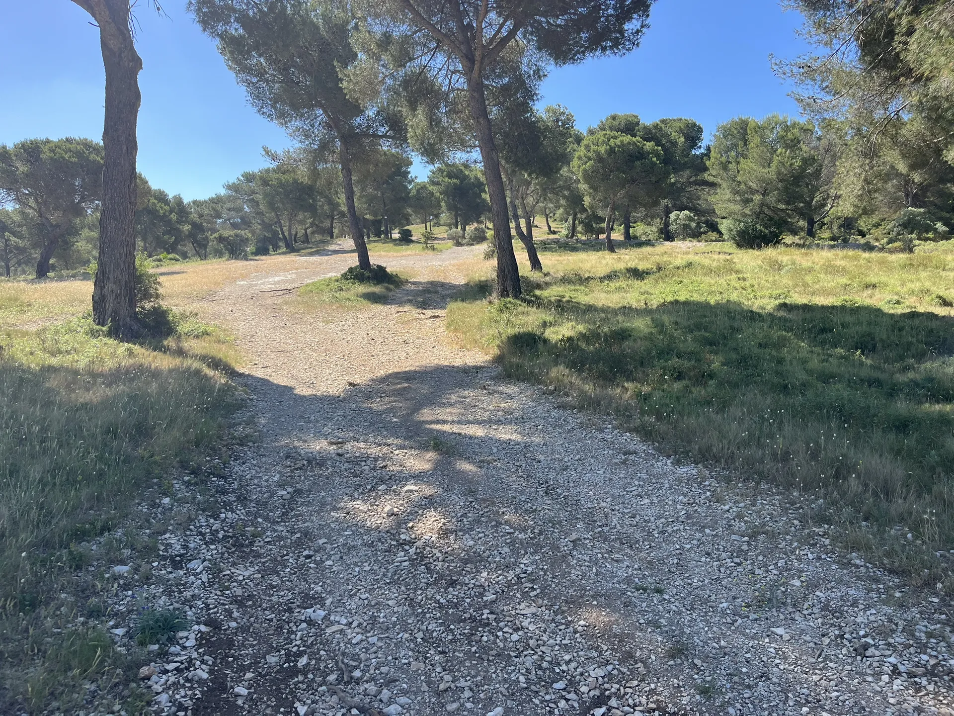 Parcours Haut de niolon, chèvres sauvages